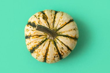 Turkuaz arka planda olgun, güzel bir balkabağı.