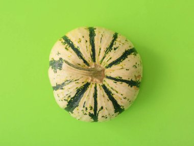 Yeşil arka planda olgun, güzel balkabağı