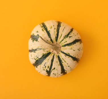 Turuncu arka planda olgun, güzel bir balkabağı