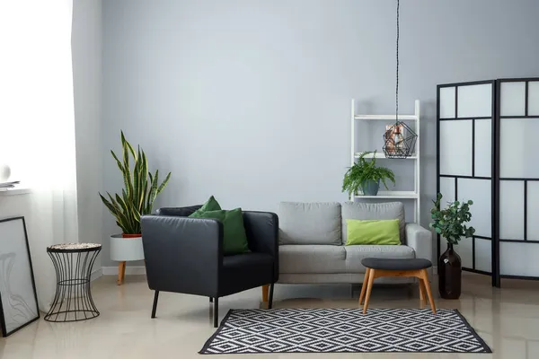 Interior Modern Living Room Armchair Sofa Houseplants — Stock Photo, Image