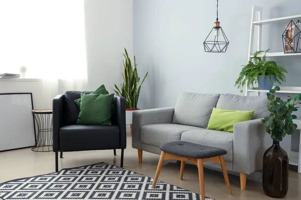 Interieur Modernes Wohnzimmer Mit Sessel Sofa Und Zimmerpflanzen — Stockfoto