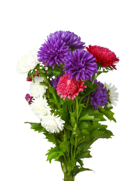 Bouquet Different Aster Flowers White Background Closeup — Stock Photo, Image