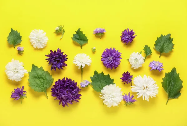 Veel Aster Bloemen Bladeren Gele Achtergrond — Stockfoto
