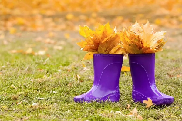 Pair Rubber Boots Autumn Leaves Park — Stock Photo, Image