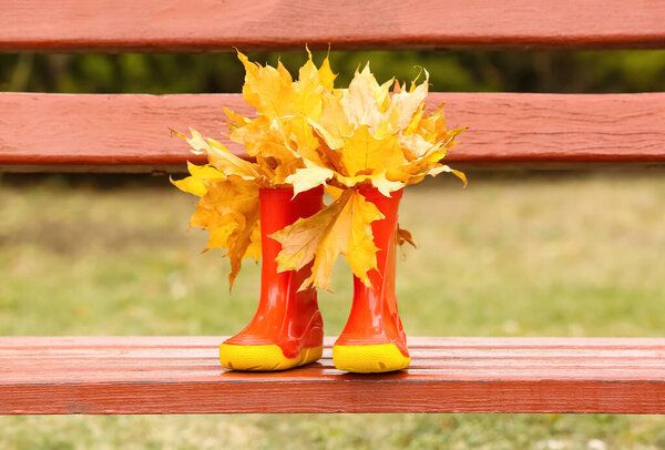 Пара резиновых сапог с золотыми осенними листьями на скамейке