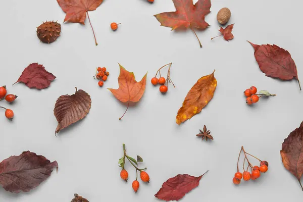 Açık Arkaplanda Yapraklar Böğürtlenlerle Sonbahar Kompozisyonu — Stok fotoğraf