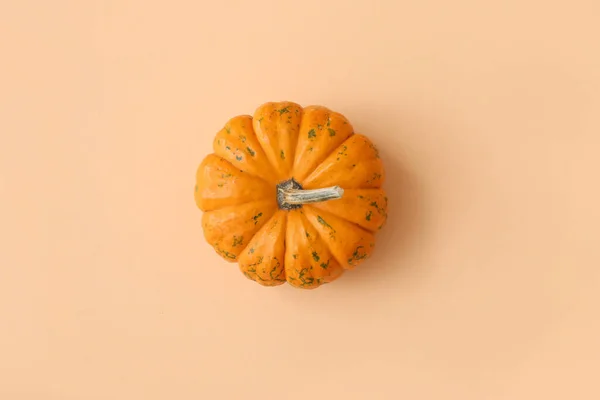 Whole Fresh Pumpkin Beige Background — Stock Photo, Image