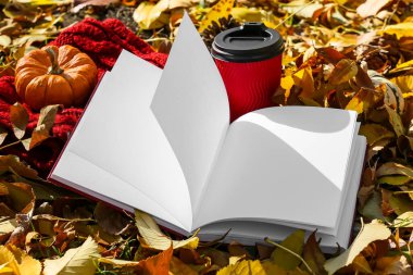 Sonbahar parkında boş sayfalar, eşarp ve kağıt kahve ile açılan bir kitap.