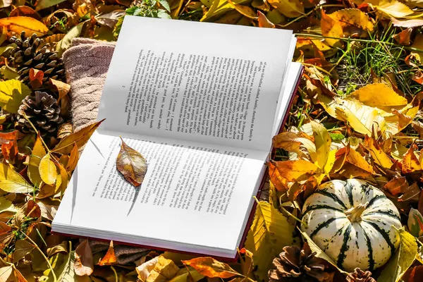 Otevřená Kniha Dýně Podzimní Listy Parku — Stock fotografie