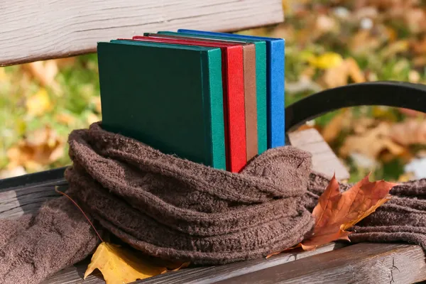 Different Books Knitted Scarf Bench Autumn Park — Stock Photo, Image