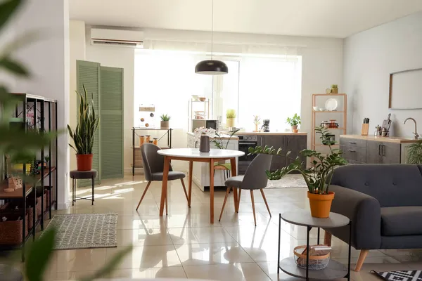 Studio Apartment Mit Zeitgenössischer Küche — Stockfoto