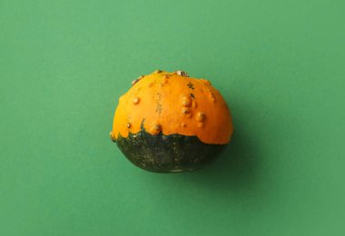 Yeşil arka planda taze balkabağı