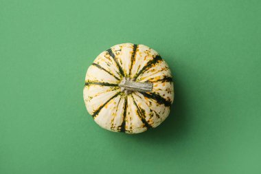 Yeşil arka planda taze balkabağı