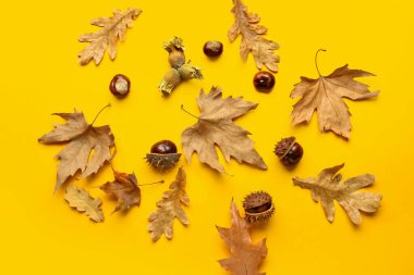 Kestaneler, fındıklar ve sonbahar yaprakları