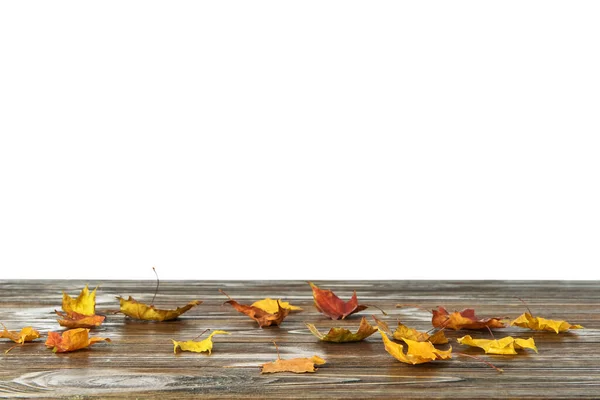 Beautiful Autumn Leaves Wooden Table White Background — Stock Photo, Image