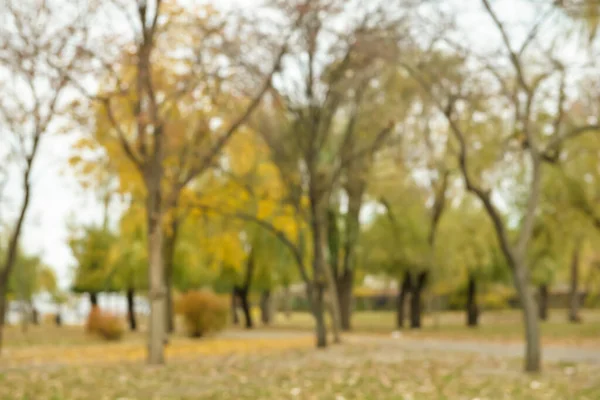 Blurred View Beautiful Park Autumn Day — Stock Photo, Image