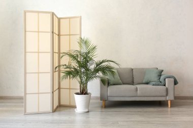 Kaliteli katlama ekran, kanepe ve iç duvarın yanındaki çiçek.