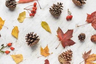 Açık arkaplanda kuru yapraklarla sonbahar kompozisyonu