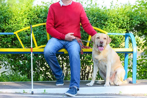 Blind senior man with guide dog outdoors