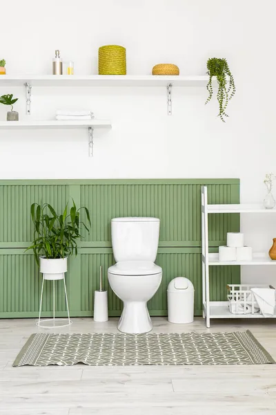 Interior Kamar Kecil Modern Dengan Mangkuk Toilet Tanaman Rumah Tangga — Stok Foto
