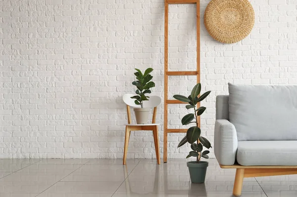 Sofa Houseplants Modern Stylish Interior Living Room — Stock Photo, Image