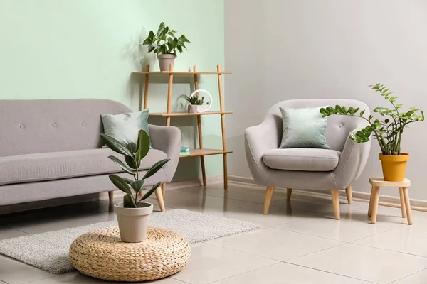 Interieur Eines Modernen Wohnzimmers Mit Sessel Und Zimmerpflanzen — Stockfoto