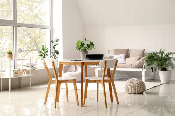 Interior Light Living Room Table Chairs Houseplants — Stock Photo, Image