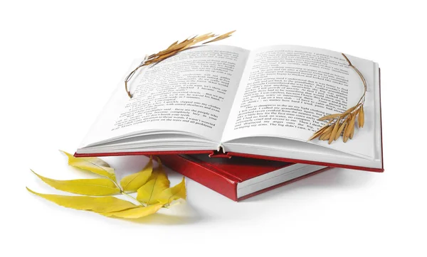 Open Book Ash Leaf Seeds White Background — Stock Photo, Image