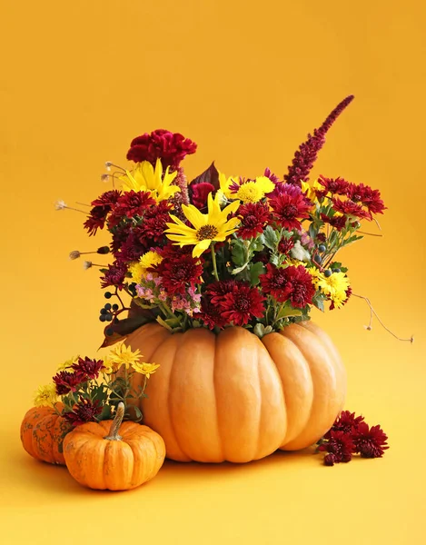 Schöner Herbststrauß Mit Kürbissen Auf Farbigem Hintergrund — Stockfoto