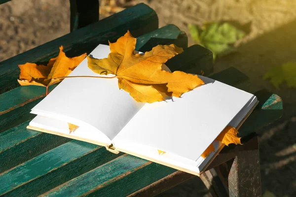 Blank Book Autumn Leaves Bench Park — Stock Photo, Image