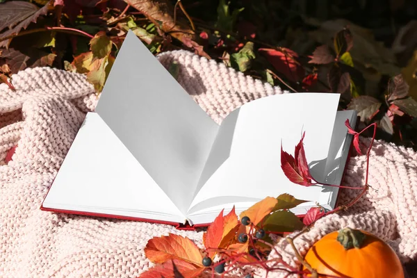 Boş kitap ve yapraklar sonbahar parkında sıcak ekose üzerinde