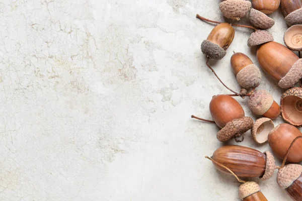 Brown Acorns Light Background Closeup — Stock Photo, Image