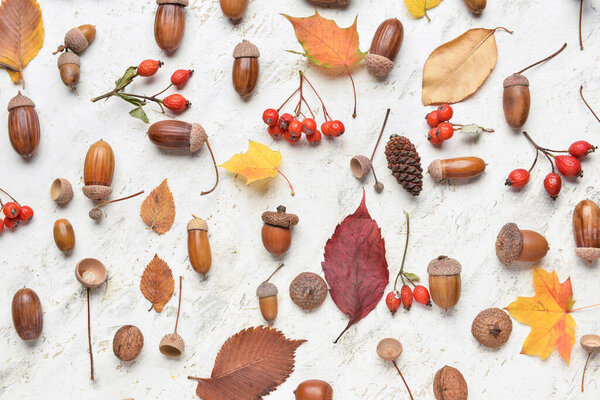 Beautiful autumn composition with natural forest decor on light background, closeup