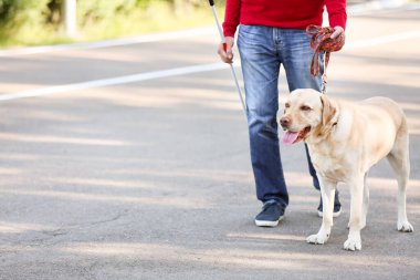 Dışarıda gezen rehber köpeği olan kör yaşlı adam.