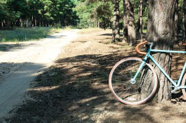 Ormandaki ağacın yanında şık bir bisiklet