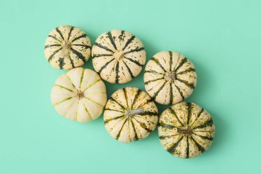 Turkuaz arka planda olgun, güzel balkabakları