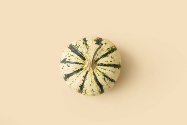 Açık arkaplanda olgun, güzel bir balkabağı