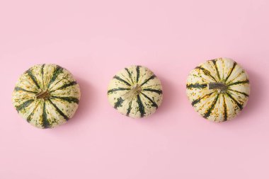 Pembe arka planda olgun, güzel balkabakları