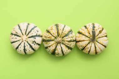 Yeşil arka planda olgun, güzel balkabakları