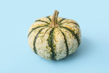 Mavi arka planda olgun, güzel bir balkabağı