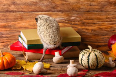 Şirin kirpi, mantarlar, kitaplar ve tahta arka planda balkabağı.