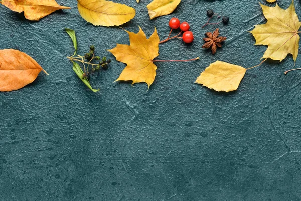 Koyu arka plan üzerine sonbahar kompozisyonu