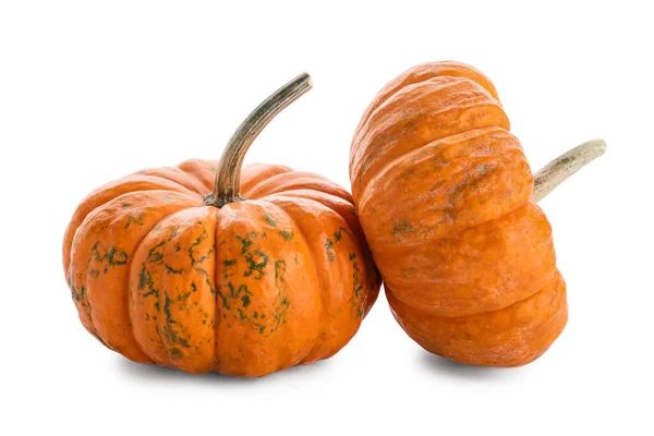 Fresh Pumpkins Isolated White Background — Stock Photo, Image