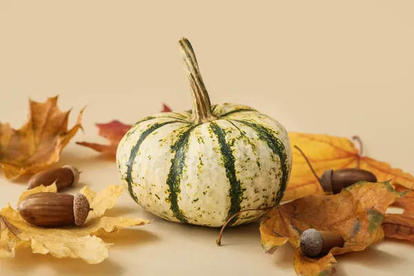 Ripe Beautiful Pumpkin Acorns Leaves Light Background — Stock Photo, Image