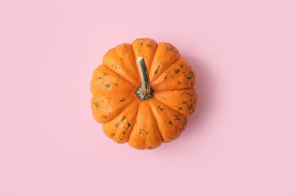 Ripe Beautiful Pumpkin Pink Background — Stock Photo, Image