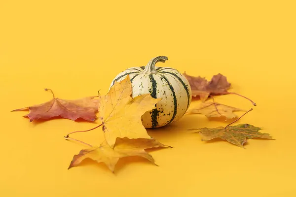 Ripe Beautiful Pumpkin Fallen Leaves Orange Background — Stock Photo, Image
