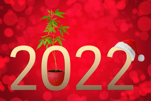 Creatieve Wenskaart Voor Gelukkig Nieuwjaar 2022 Met Hennepplant — Stockfoto