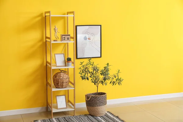 Stylish Interior Modern Living Room Shelf Unit Houseplant Beautiful Picture — Stock Photo, Image