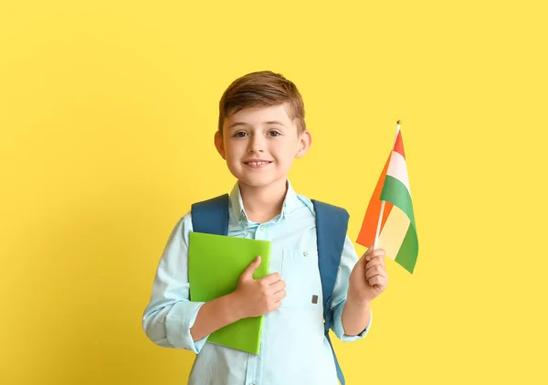 Aluno Escola Idiomas Com Bandeira Húngara Fundo Cor — Fotografia de Stock