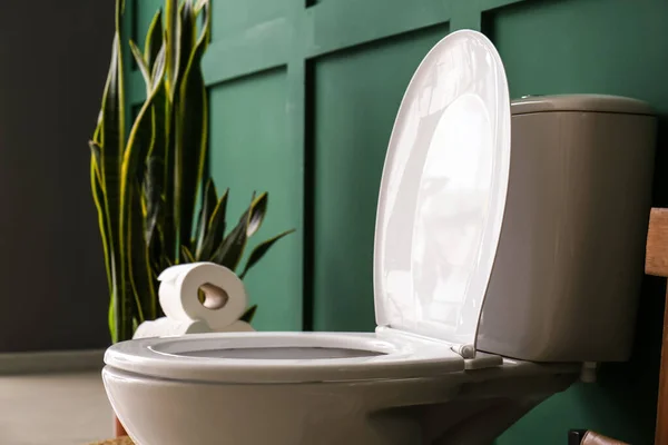 Туалетная Чаша Возле Зеленой Стены Туалете — стоковое фото